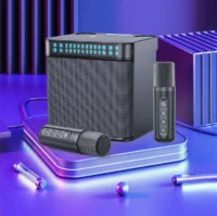 Ασύρματο mini Karaoke με 2 μικρόφωνα 1000W YS-223 Μαύρο